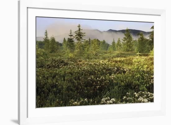 Atmospheric Expanse-Wild Wonders of Europe-Framed Giclee Print