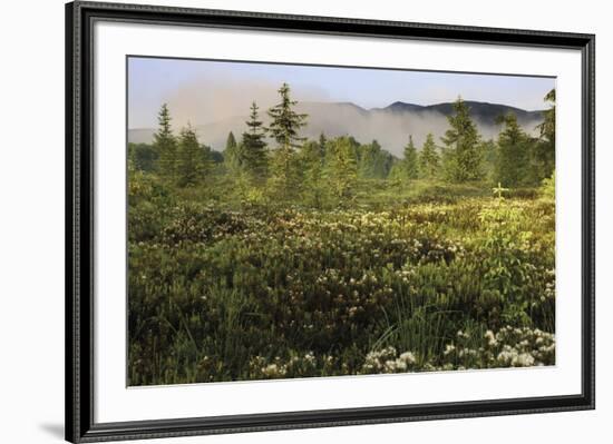 Atmospheric Expanse-Wild Wonders of Europe-Framed Giclee Print