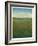 Atmospheric Field II-Tim O'toole-Framed Art Print