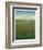 Atmospheric Field II-Tim O'toole-Framed Art Print