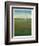 Atmospheric Field II-Tim O'toole-Framed Art Print