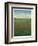 Atmospheric Field II-Tim O'toole-Framed Art Print