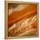 Atmospheric Waves on Jupiter-null-Framed Premier Image Canvas