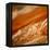 Atmospheric Waves on Jupiter-null-Framed Premier Image Canvas