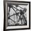 Atomium, Symbol of Brussels World's Fair-Michael Rougier-Framed Photographic Print