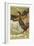 Atropos Acherontia, Solanum Dulcamara, Eau Des Carmes Boyer Perfume Victorian Trade Card-null-Framed Giclee Print