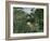 Attack of Jaguar, c.1910-Henri Rousseau-Framed Giclee Print