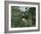 Attack of Jaguar, c.1910-Henri Rousseau-Framed Giclee Print