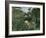 Attack of Jaguar, c.1910-Henri Rousseau-Framed Giclee Print