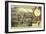 Attack on Palermo, Sicily, 27 May 1860-null-Framed Giclee Print