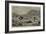 Attacked by an Ostrich, an Incident on a Farm at the Cape of Good Hope-null-Framed Giclee Print