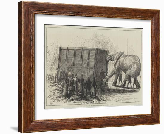 Attempt to Remove Jumbo, the Great Elephant, from the Zoological Gardens-null-Framed Giclee Print