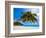 Attraction-Marco Carmassi-Framed Photographic Print