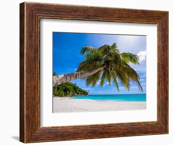 Attraction-Marco Carmassi-Framed Photographic Print