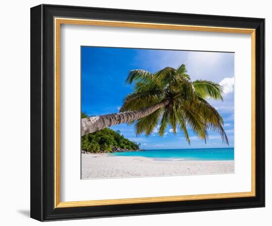 Attraction-Marco Carmassi-Framed Photographic Print