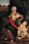 The Virgin and Child with St Anne and the Lamb-attributed to Bernardino Lanino-Framed Giclee Print