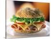 Stretched Canvas Print
