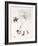 Au bois-Henri de Toulouse-Lautrec-Framed Giclee Print