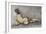 Au Natural II-Farrell Douglass-Framed Giclee Print
