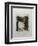 Au Poete Synthetiste, Portrait of Stephame Mallarme-Paul Gauguin-Framed Giclee Print