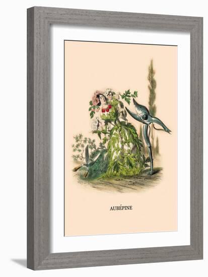 Aubepine-J.J. Grandville-Framed Art Print