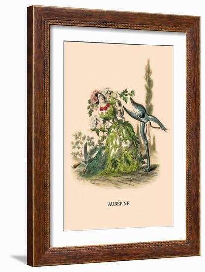 Aubepine-J.J. Grandville-Framed Art Print