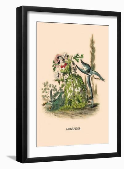 Aubepine-J.J. Grandville-Framed Art Print
