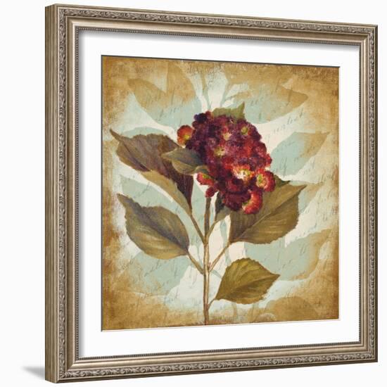 Aubergine Hydrangea Portrait-Lanie Loreth-Framed Art Print