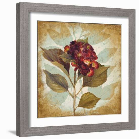 Aubergine Hydrangea Portrait-Lanie Loreth-Framed Art Print