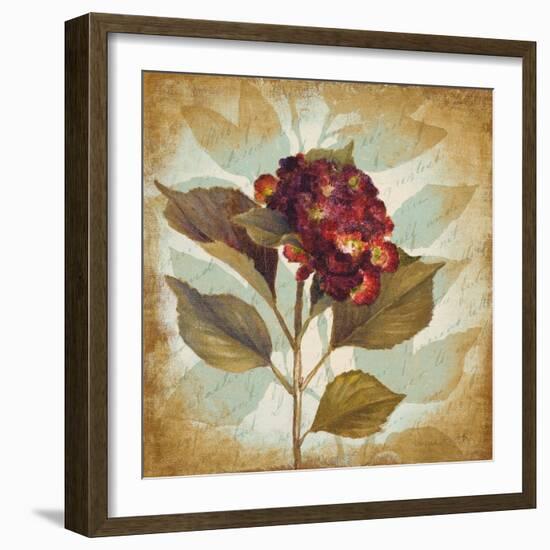 Aubergine Hydrangea Portrait-Lanie Loreth-Framed Art Print