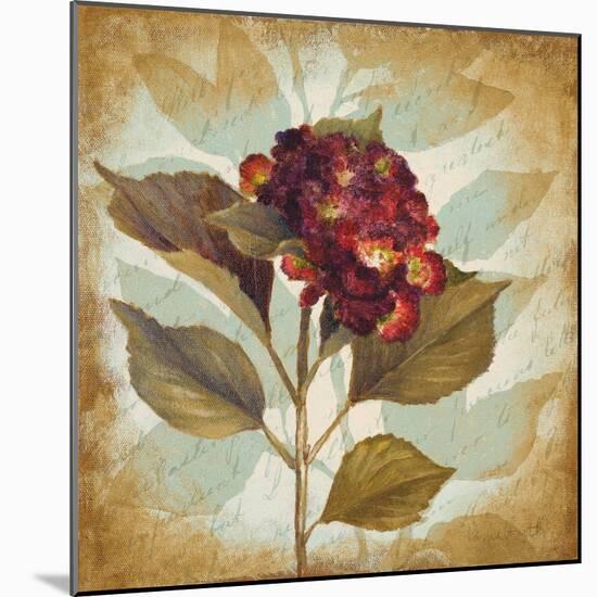 Aubergine Hydrangea Portrait-Lanie Loreth-Mounted Art Print