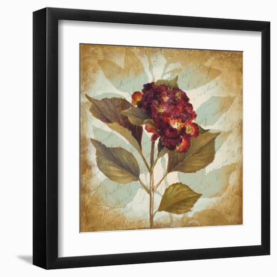 Aubergine Hydrangea Portrait-Lanie Loreth-Framed Art Print