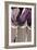 Aubergine Splendor II-Angela Maritz-Framed Art Print