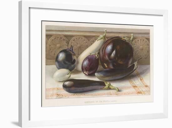 Aubergines or Egg Fruits-null-Framed Giclee Print