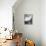 Aubrey Beardsley's Drawings-Aubrey Beardsley-Framed Premier Image Canvas displayed on a wall