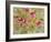 Aubrey's Garden-Blenda Tyvoll-Framed Giclee Print