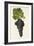 Aubun Grape-J. Troncy-Framed Giclee Print