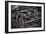 Auburn-Stephen Arens-Framed Photographic Print