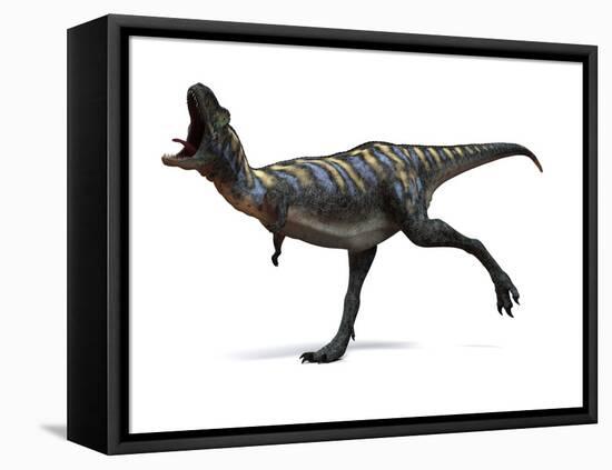 Aucasaurus Dinosaur, Artwork-SCIEPRO-Framed Premier Image Canvas