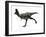 Aucasaurus Dinosaur, Artwork-SCIEPRO-Framed Photographic Print