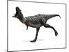 Aucasaurus Dinosaur, Artwork-SCIEPRO-Mounted Photographic Print