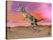 Stretched Canvas Print