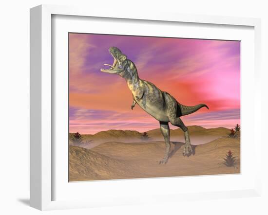 Aucasaurus Dinosaur Roaring in the Desert by Sunset-null-Framed Art Print