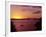 Auckland Harbour Bridge and Waitemata Harbour at Dusk, New Zealand-David Wall-Framed Photographic Print