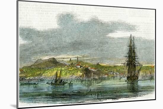 Auckland, New Zealand, C1880-null-Mounted Giclee Print