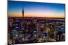 Auckland, New Zealand. The Auckland Skytower and harbor at night.-Micah Wright-Mounted Photographic Print