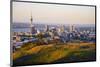Auckland New Zealand-null-Mounted Art Print