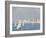 Auckland, North Island, New Zealand, Pacific-Michael Snell-Framed Photographic Print