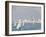 Auckland, North Island, New Zealand, Pacific-Michael Snell-Framed Photographic Print