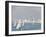 Auckland, North Island, New Zealand, Pacific-Michael Snell-Framed Photographic Print